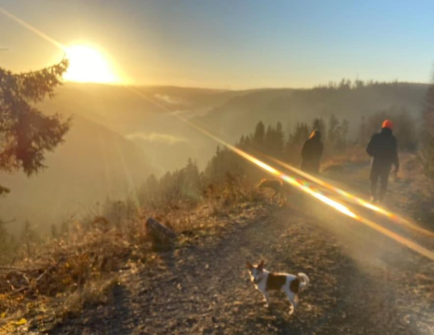 Hundeparadies Waldblick Lauenstein Ludwigsstadt Buitenkant foto